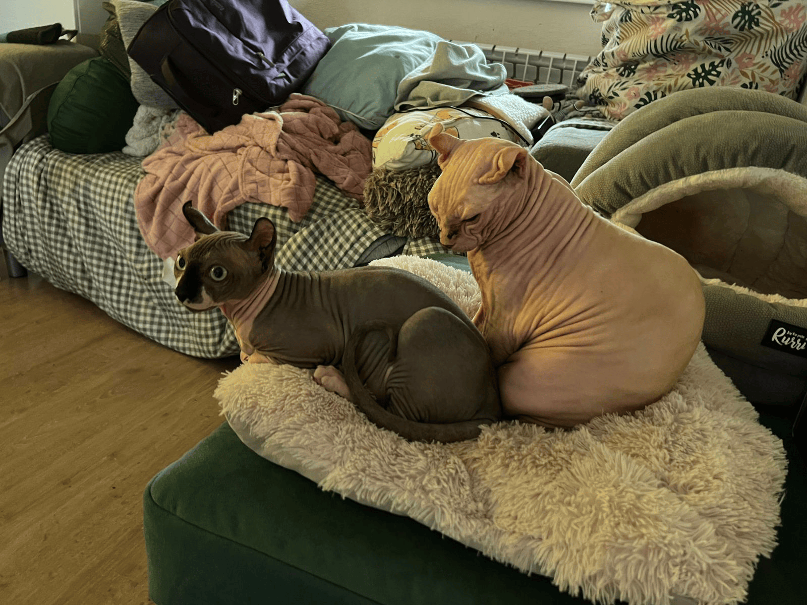 76b4123b-623a-4d82-a09a-2dd84e62c6a4-optimised